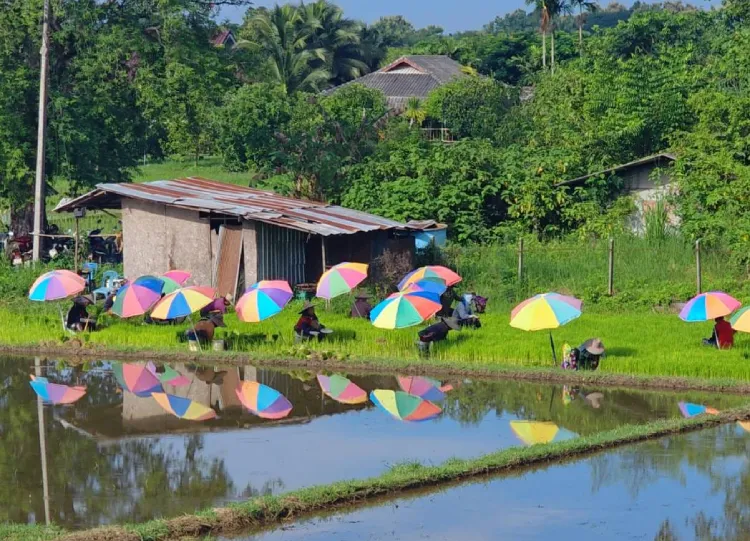wpys-thailand-location-new2