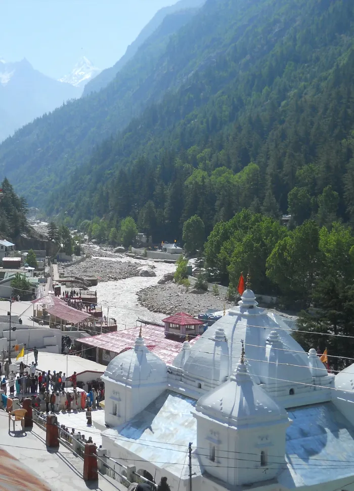 yoga-school-in-rishikesh